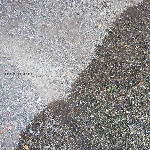 A Duck in a Tree 2026-02-07 | Origin and Interpretation