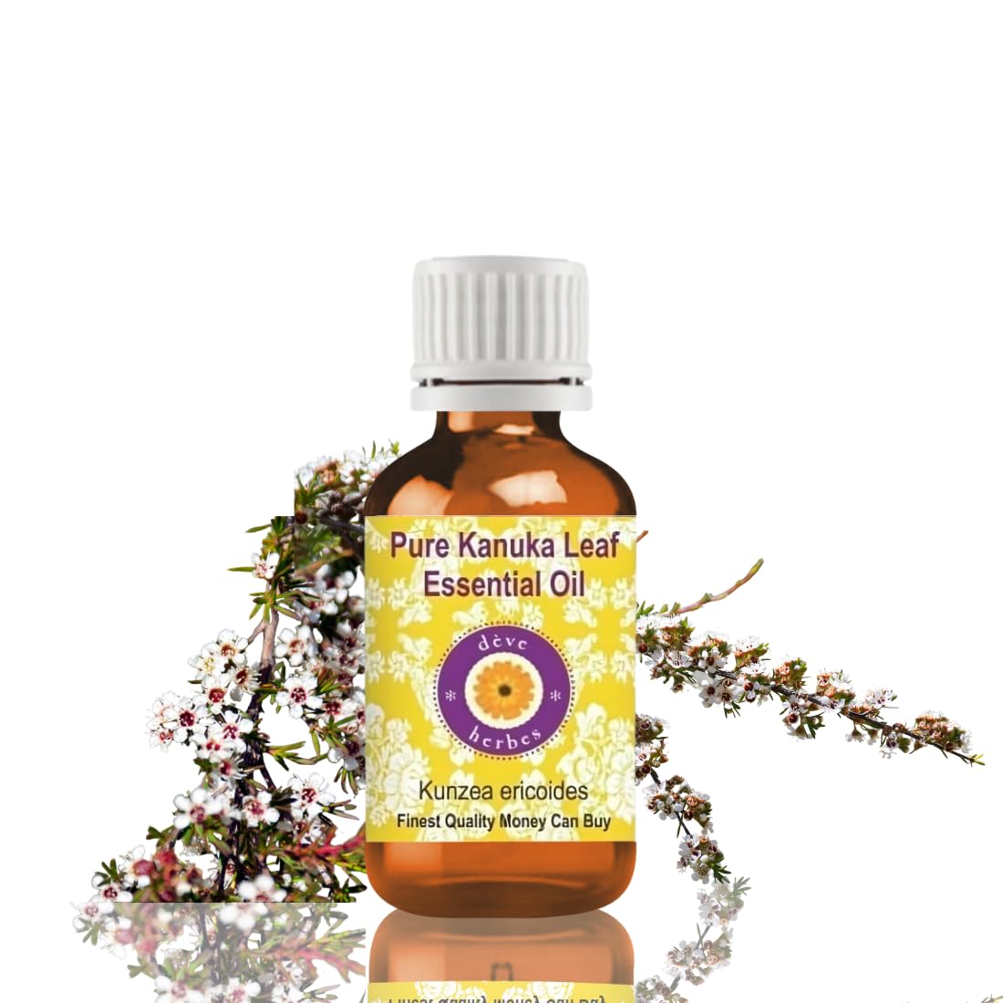 Deve Herbes Pure Camellia Oil (Camellia kissi) Non-Sticky | Non-Greasy | For Skin, Hair, Massage & DIY Use 30ml — view 50