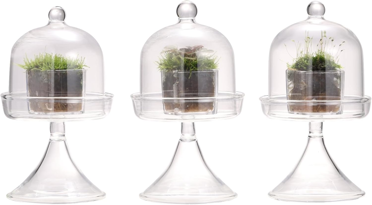NCYP Mini Glass Bell Dome with Stand and Tiny Cube Planter for Display Jewelry, Ring, Small Plant - (3-Pack) 2.7" x 2.7" x 5" Little Cloche Set, Indoor Decor (Plants Not Included)