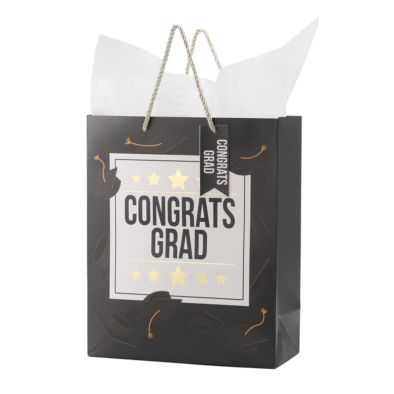Fu HeaLer Graduation Gift Bag, 13 inches Large Graduation Bags with Handle and Tissue Paper for Graduation 1 Pack Black