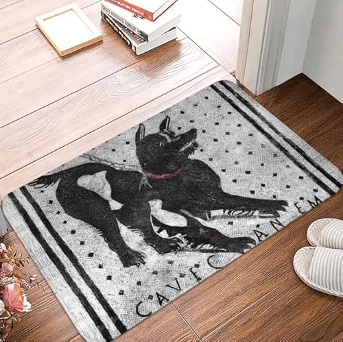 Cave Canem Cuidado con el Perro Pompeya Latino Felpudo Alfombra Alfombra Antideslizante Alfombrilla Absorbente Entrada Cocina Dormitorio balcón Cover