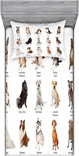 Ambesonne Dog Fitted Sheet & Pillow Sham Set, Group Different Puppy Breeds Family Type Species Dalmatian Husky Bulldog Image Print, Decorative Printed 2 Piece Bedding Decor Set, Twin, Brown