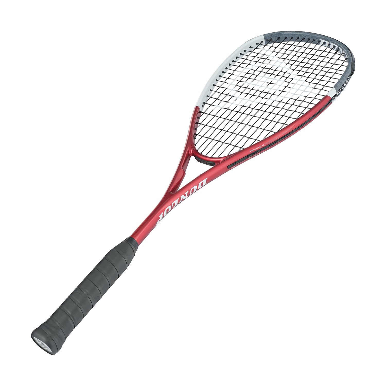 Dunlop TRISTORM Elite Squash Schläger, grau