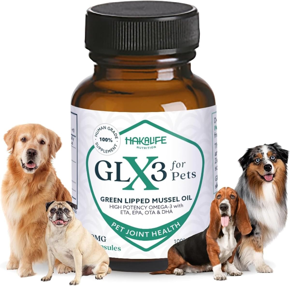 GLX3 Green Lipped Mussel Oil for Dogs | Joint & Hip Comfort Omega-3 Supplement | Ideal for All Dog Breeds and Ages | 1 Month Supply, 60 Gel Capsules w/Natural Ingredients