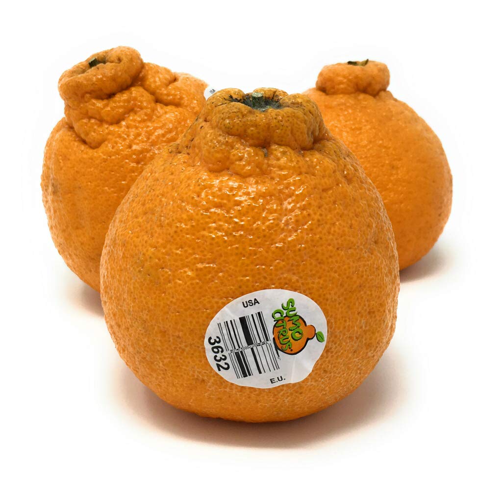 PRODUCE Dekopon Citrus Box, 48 OZ