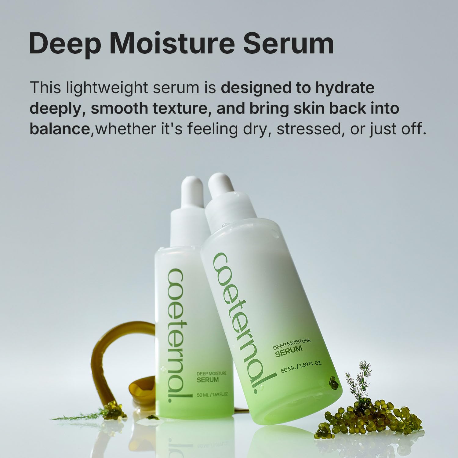 Deep Moisture Serum – Korean Hydrating Face Serum with Algae11, Niacinamide & Arginine for Dry Skin, Barrier Repair & Glass Skin Glow, Fragrance-Free K-Beauty Skincare, 50ml / 1.69 fl.oz. - Image 2