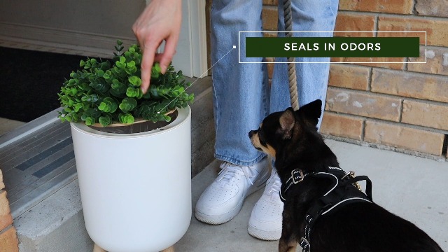 Tegneo Small Trash Can With Lid - Dog Poop Waste Container, Outdoor Plant-Style Metal Garbage Can With Pedal, 5L