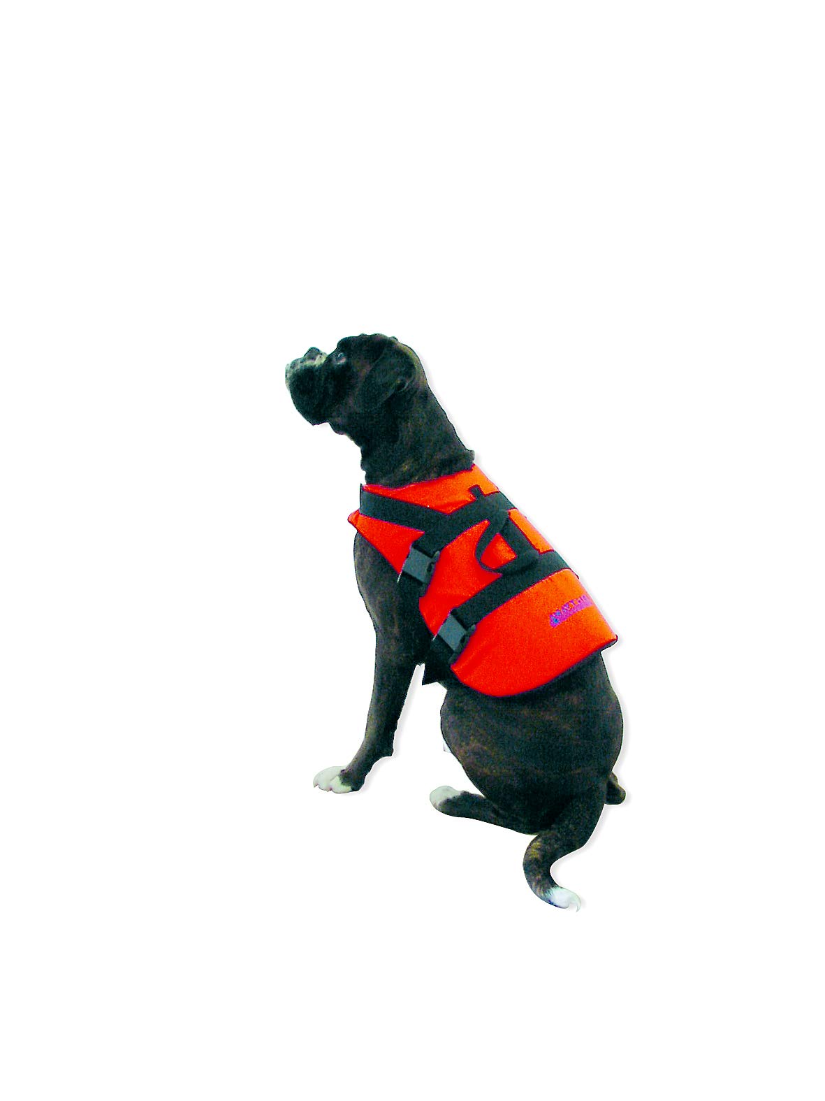 Gilet de sauvetage pour chiens et chats de 0 à 8 kg Navyline