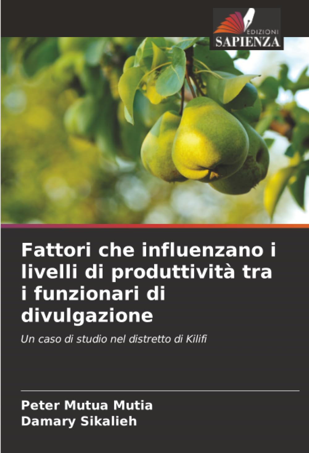 Fattori che influenzano i livelli di produttività tra i funzionari di divulgazione: Un caso di studio nel distretto di Kilifi