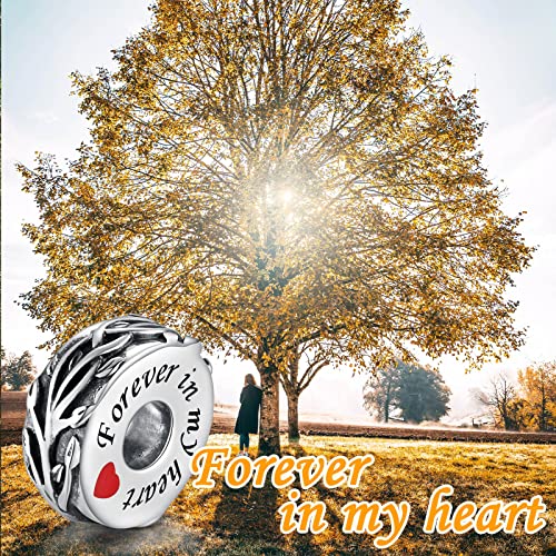 APOTIE Sterling Silver Cremation Urn Bead Charm for Bracelet Holds Ashes Keepsake Pendant Memorial Jewelry Gifts for Women Loss Loved One3