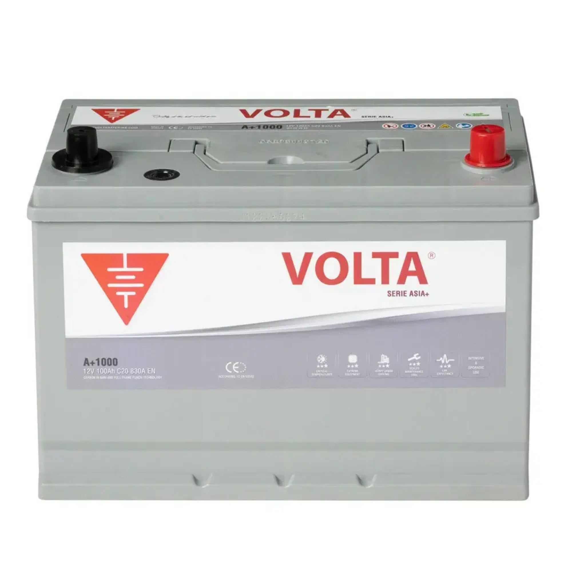 Batería de Coche 100Ah 830A - Volta A+1000D - Especial para Coches Asiáticos - 306x176x225mm - Libre de Mantenimiento, Gran Durabilidad, Fabricación Europea