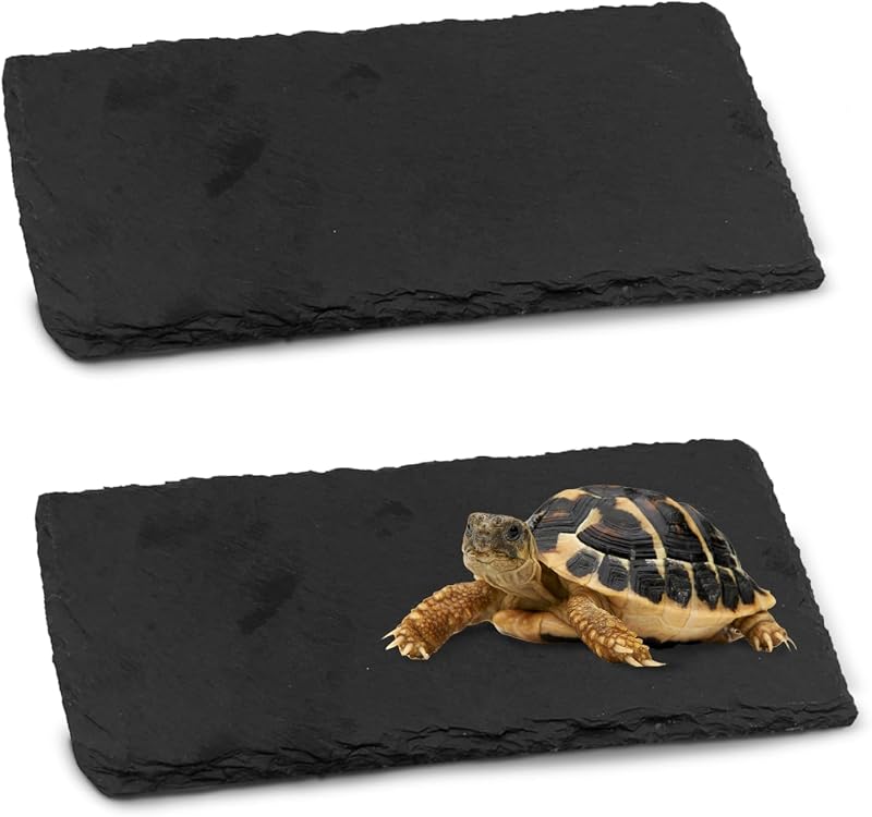 Plataforma de Pedra Natural para Répteis kathson, Terrário, Alimentação e Descanso, 19,81 x 9,91 x 1,27 cm, Pacote com 2