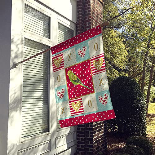 Drapeau budgerigar grand format pour décorer une façade de maison terne - 3