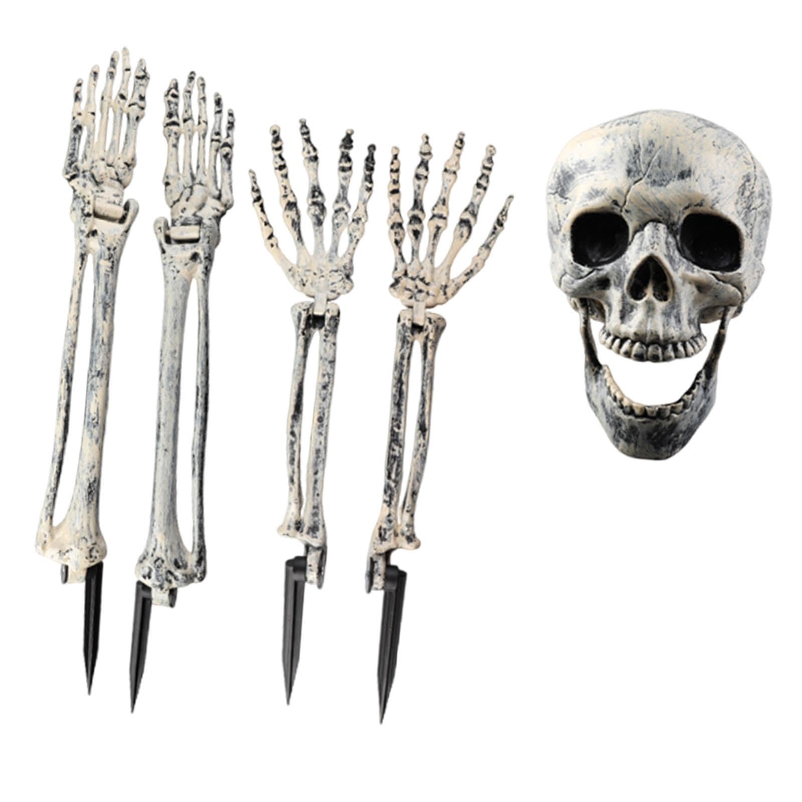 Décoration d'Halloween de squelette réaliste avec crâne et piquets pour jardin