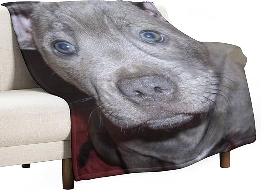 Amazon ブルー 犬 スタッフォード ブル テリア ワンちゃん フランネル 丸洗いok ふわふわ 柔らか 暖か 冬 毛布 ブランケット 旅行用 客用 子ども ペット 防災 保温 車中泊 簡易毛布 ブランケット 毛布 オンライン通販