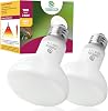 Reptile Heat Lamp Bulbs, Heat Bulb for Reptiles 2 Pack-100W, E27 Vivarium Basking Spot Light for Tortoise, Lizard, Snake, Bearded Dragon, Puppy, Chick [Energy Class E]