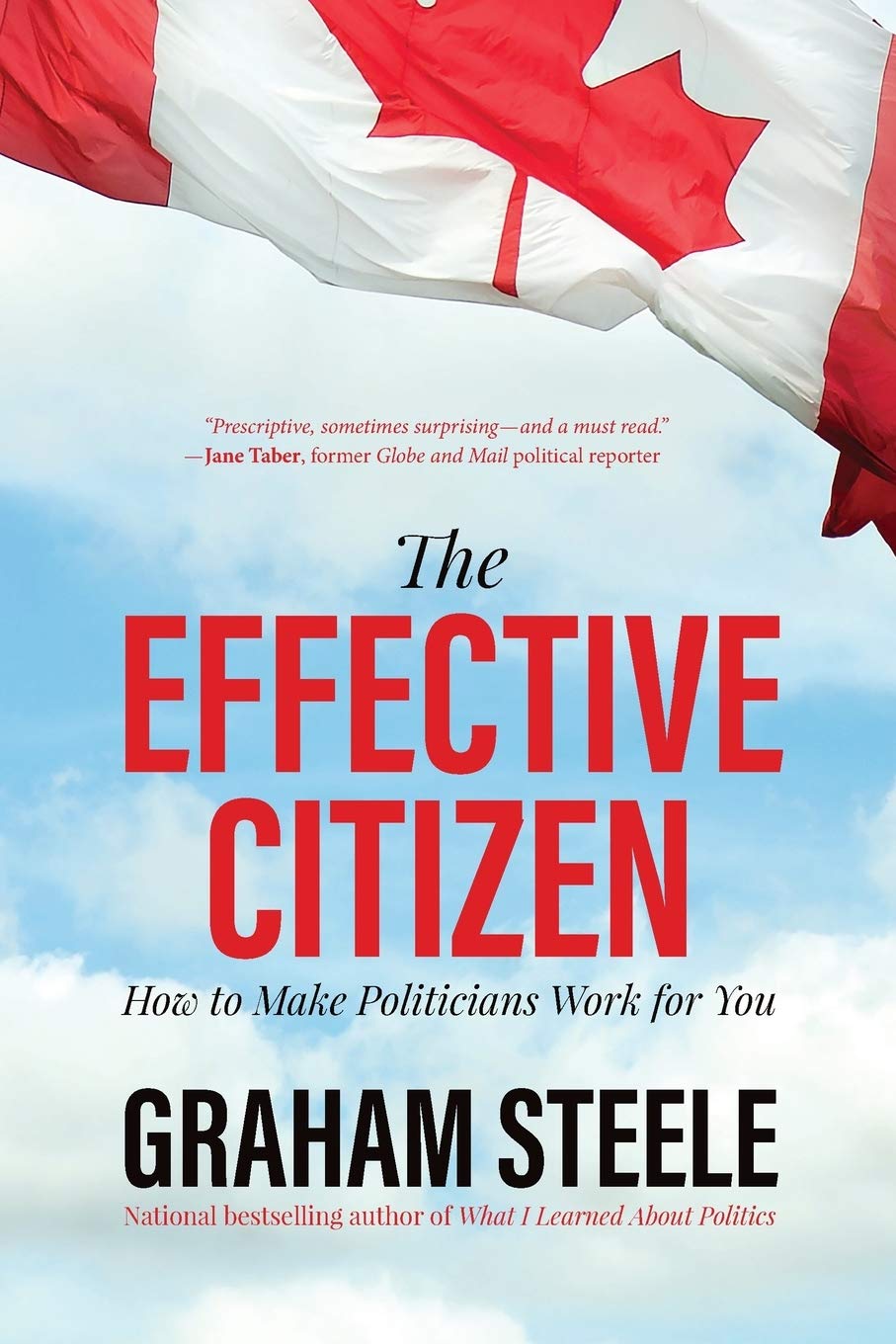 The Effective Citizen: How to Make Politicians Work for You Steele, Graham