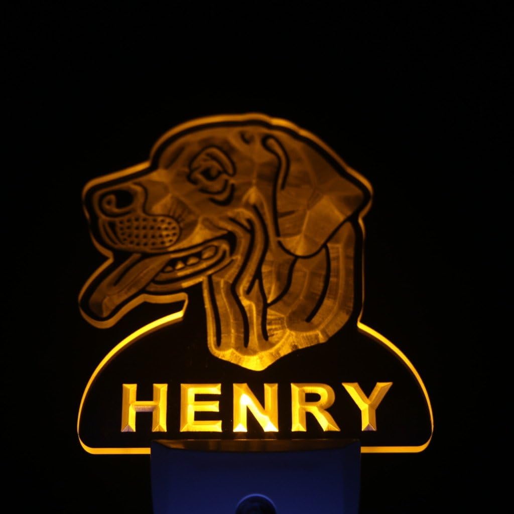 ADVPRO ws1083-tm Rhodesian Ridgeback Personalized Night Light Day/Night Sensor LED Sign