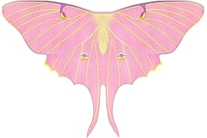 Butterfly Wings Shawl Luna Moth Wings Dress Up Cape for Adult