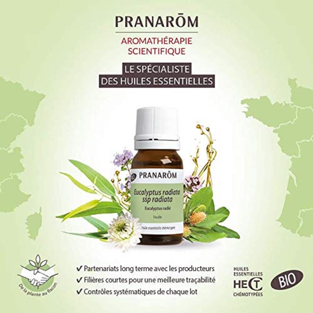 PRANAROM Aceite Esencial Eucalipto Globulus AEQT 10ml - Puro y Orgánico para Vías Respiratorias y Bienestar Natural