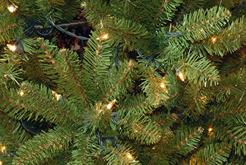 National Tree Company 6.5 ft Pre-Lit Downswept Douglas Fir Artificial Christmas Tree, 650 Clear Lights, 1,227 Tips, Includes Stand, Green by National Tree Company - Image 4