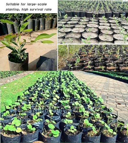 Image of Plant Bags for Home Garden - (5 inch X 7 inch / 200 Pcs) Poly Nursery Bags for Plants Specially Designed to Grow Bags for Leafy Vegetables, Fruit Seeds, Child Seeds & Much More
