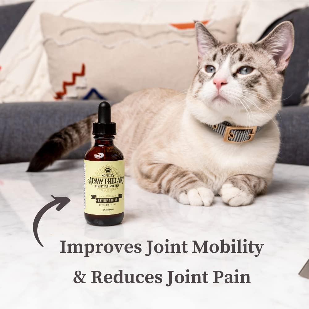 Sophie's Apawthecary Cat Hip and Joint Glucosamine Liquid Supplement 2 oz for Pain Relief and Improved Joint Flexibility : Pet Supplies