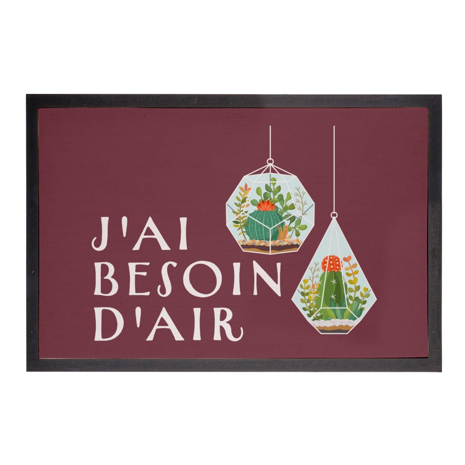 Paillasson rouge 75x50cm idéal pour entrée jardin avec plantes tillandsia