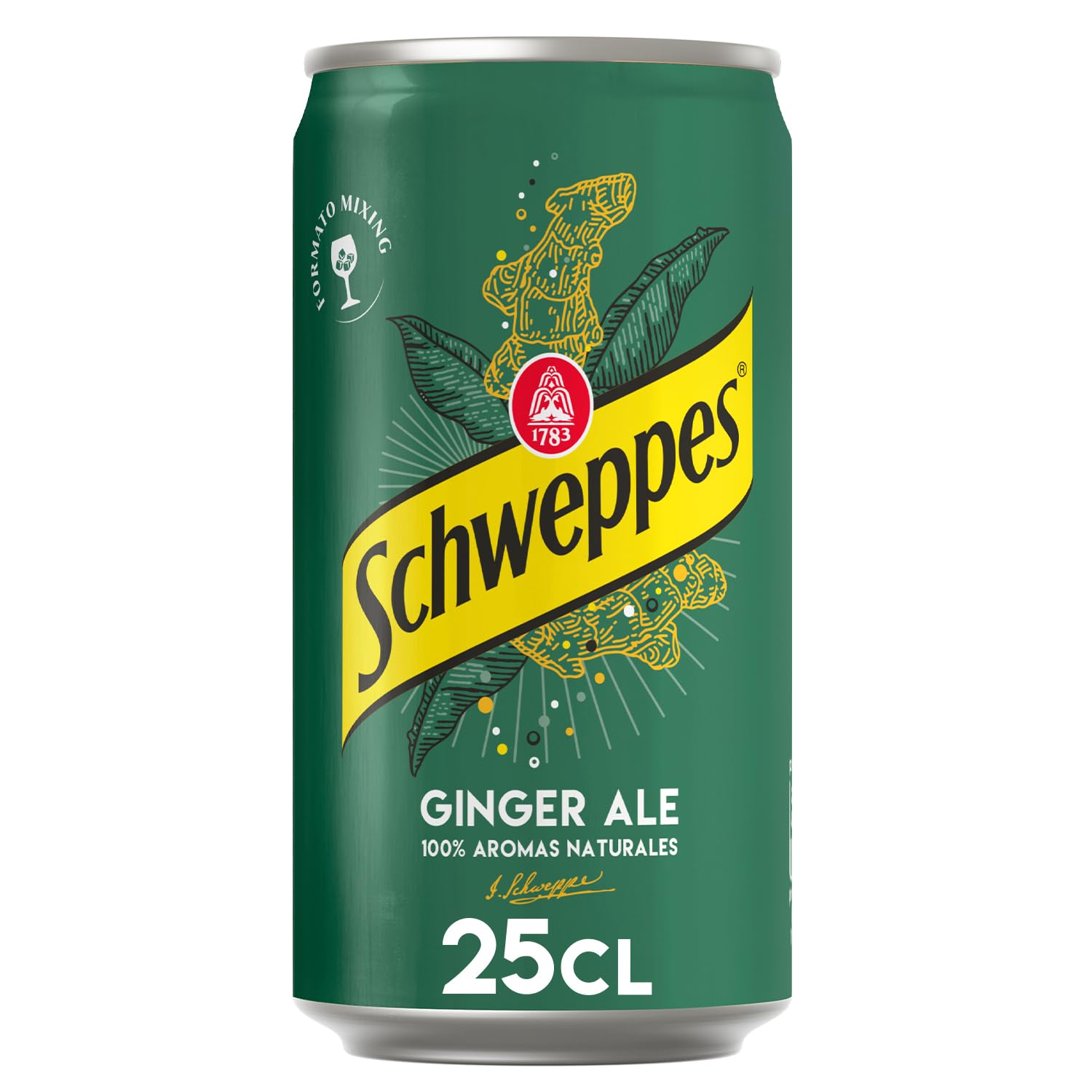 Schweppes Ginger Ale Bebida Jengibre Refrescante Pack 24 x 25 cl