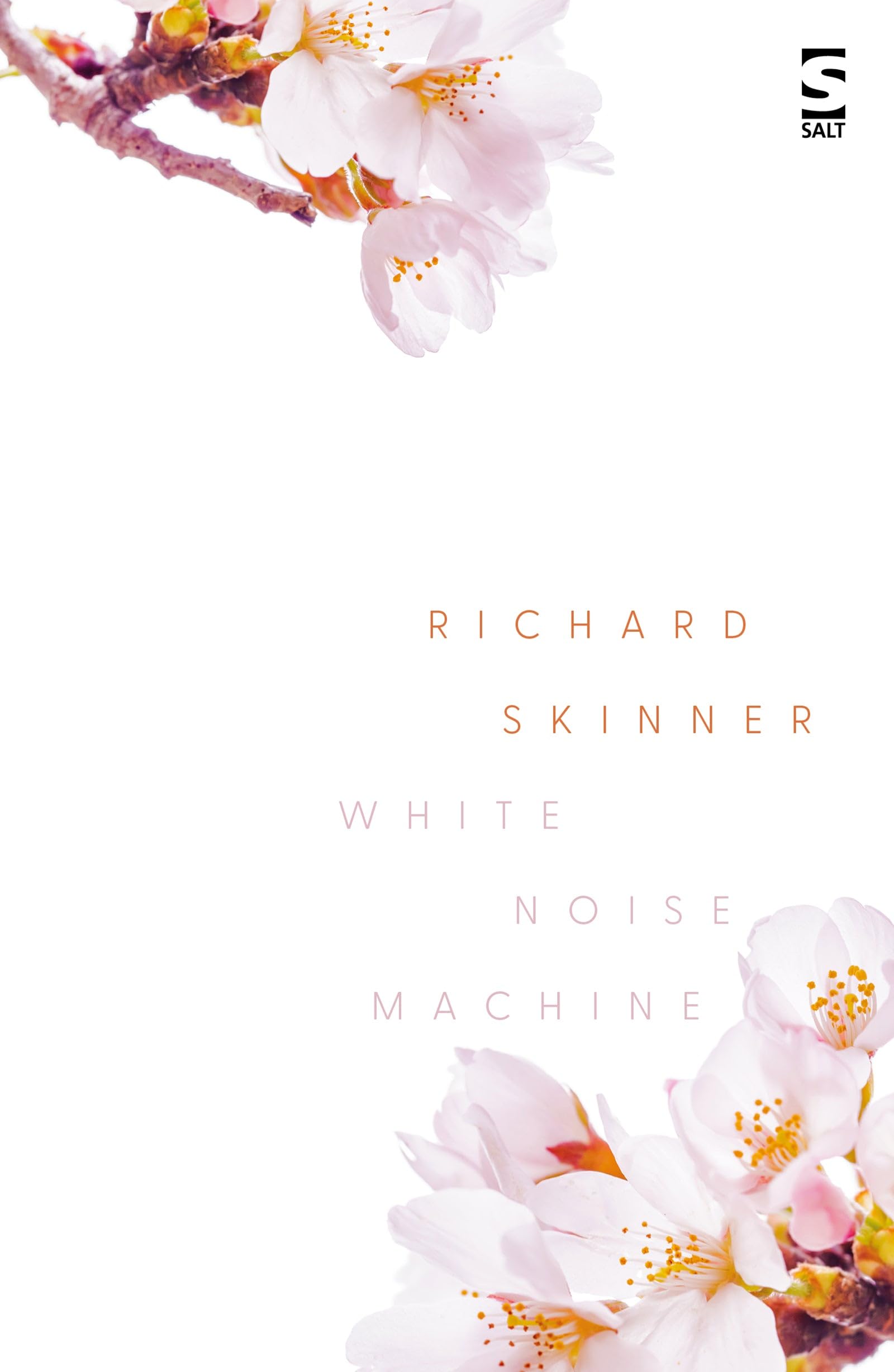 White Noise Machine by Richard Skinner - 9781784632861