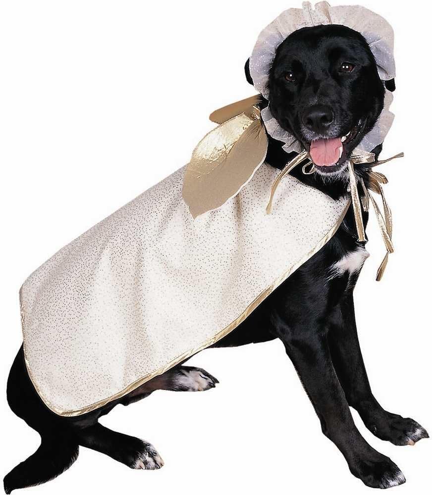 テオブロマ ショコラショー オードパルファン 【10ml 3個セット