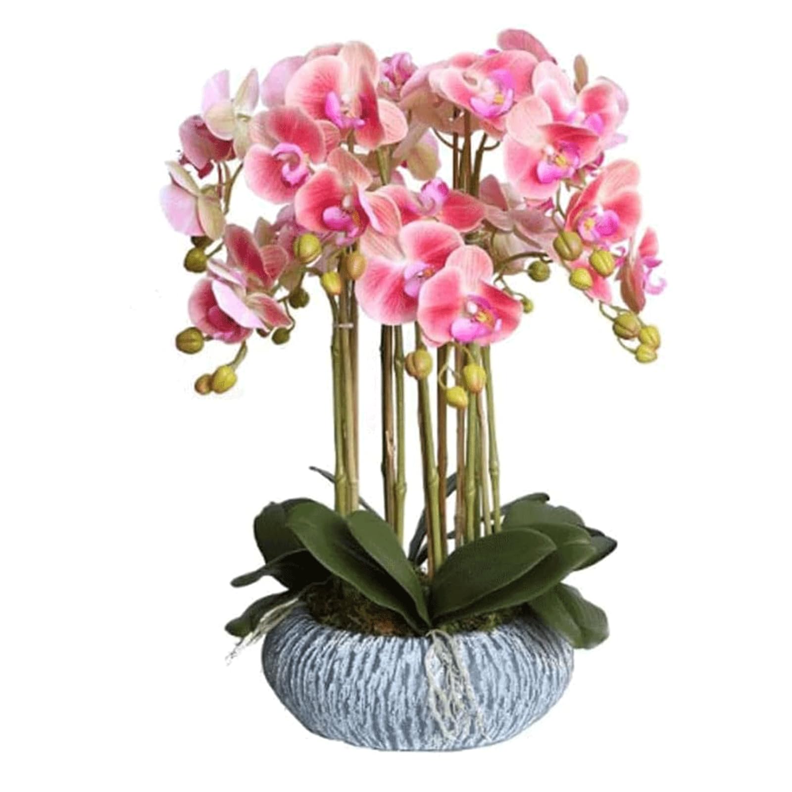 DFGHNBVC Artificial Orchid Artificial Orchid 23In Artificial Flower With Porcelain Vase Set Artificial Phalaenopsis Flowers Potted Faux Faux Orchids Very Natural.Pink