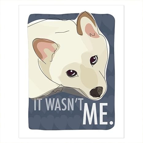 Amazon クリーム柴犬アート Not Me Popワンちゃん犬アートポスターサイン印刷with面白いことわざ 8 By 10 Inches アートワーク ポスター オンライン通販