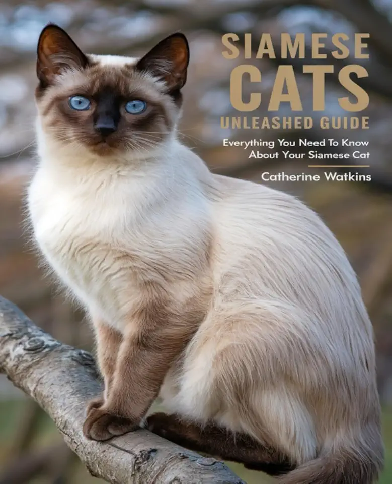 Decoding the Lifespan of the Siamese Cat A Comprehensive Guide to Longevity and Health - Details