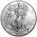 NEW 2014 American Silver Eagle Coin (1oz)