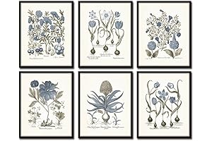 Sepia & Blue Botanical Prints No 5, Charming Botanical Prints, Wall Art,...