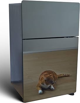 Amazon | ASUMU冷蔵庫 一人暮らし おしゃれ 独り暮らし 鏡面 ミラー