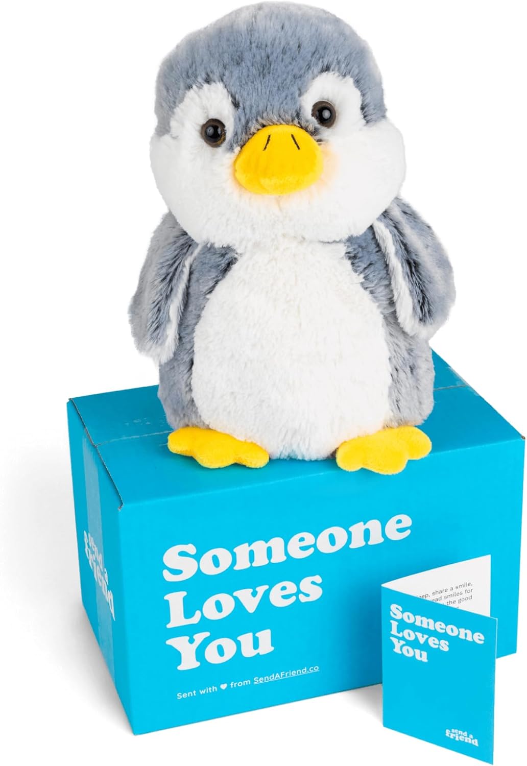 SendAFriend Pepper The Penguin Stuffed Animal Care Package, Someone Loves You Box, Great Gift for Any Reason (Love You Notecard)