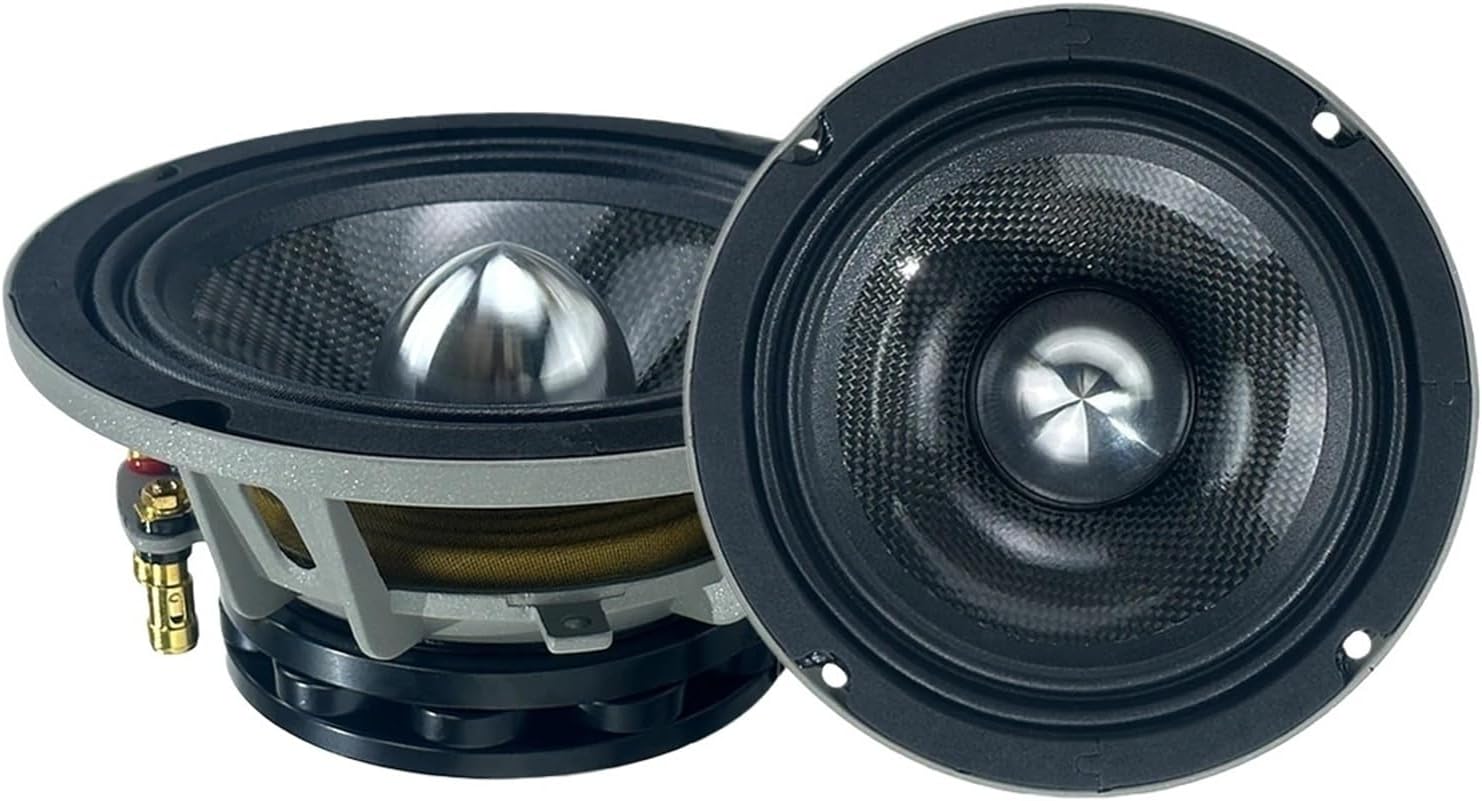 20 Cm 10 Inch Midrange 6.5 Speakers Cone Odm 6'5 Speaker Car Neo Musical Compatible with Horn Audio Cars Driver(8OHM)
