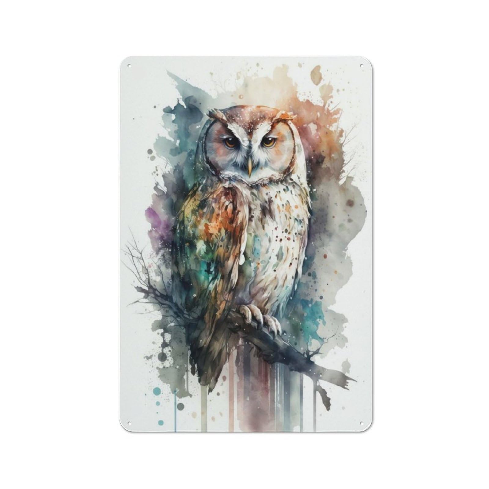 For Hobby Room Or Studio, Bird Owl Watercolor Retro-style Tin Sign 30x20cm, for Room Styling Across Hobby Rooms And Studios