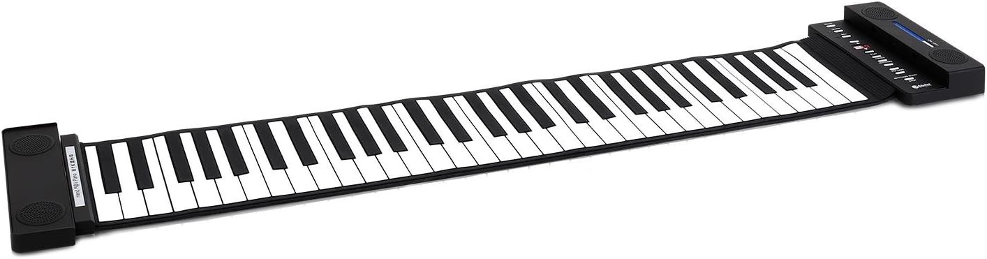 Schubert EC2-61SP - Roll Piano, Keyboard, 61 Keys, Recording Function, Removable Stereo Speaker, 30 Pre-installed Demo Songs, 3 Learning Modes, 88 Sounds, Power or Battery Operation, Black