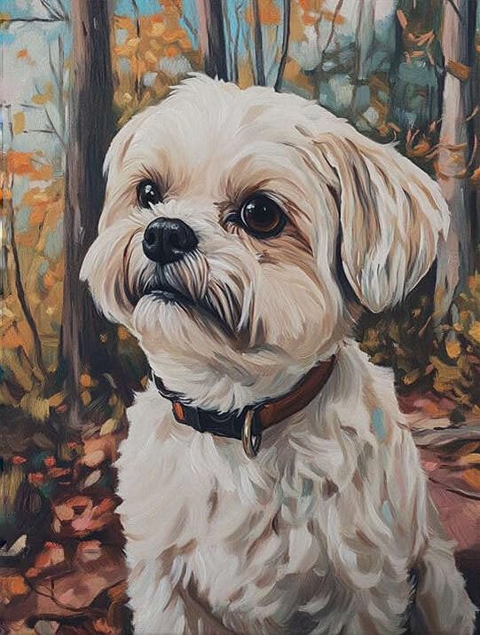Peinture par numéro adulte débutant kit DIY toile peinture à l'huile motif chien Shih Tzu