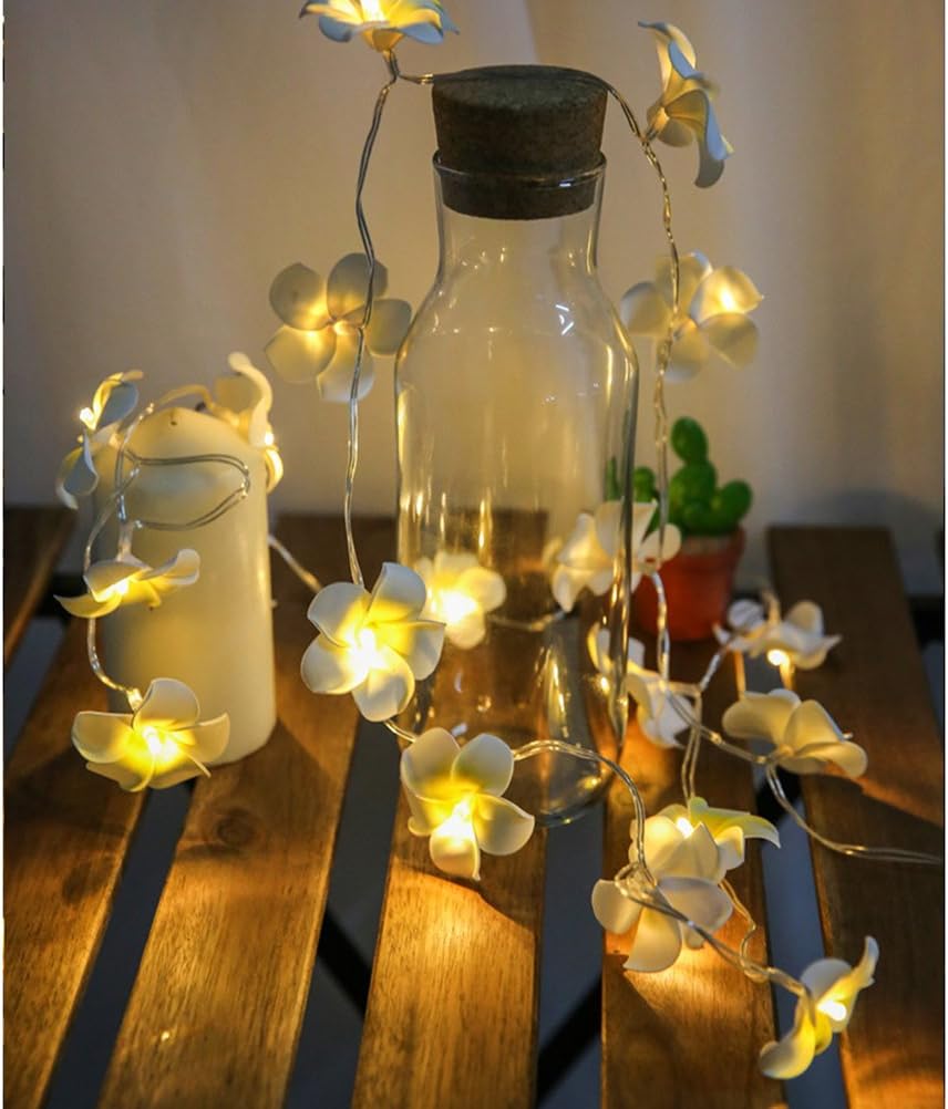 luce a spago per vaso