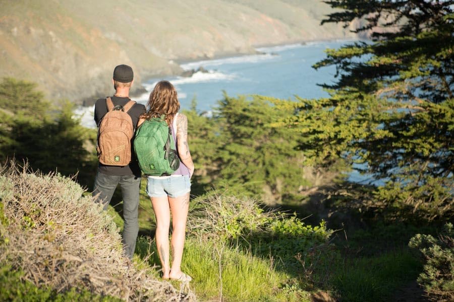 Dime Bags Backpack For Travel & School, Durable Hempster Material, 9 Storage Compartments & 2 Side Bottle Pockets, Fits 17” Laptop, Adjustable Padded Straps, Hidden Internal Pocket (Forest) - Image 5