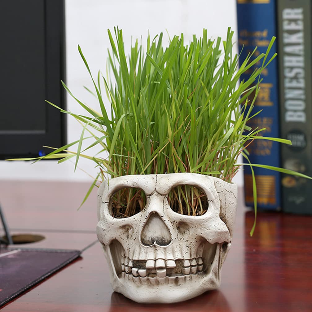 IBWell Vaso Da Fiori A Forma Di Teschio In Resina – Grande E Vivido – Decorazione Moderna Per Casa, Ufficio, Scrivania – Regalo Bavaglio Unico
