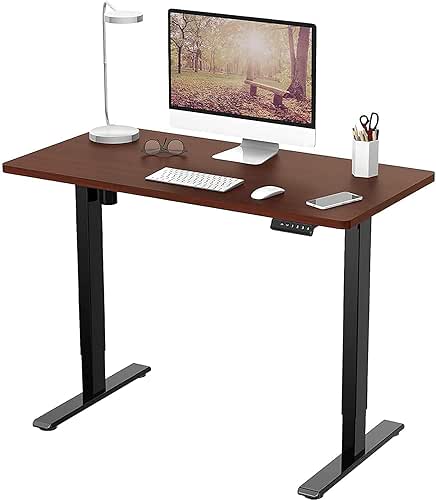 FLEXISPOT Bureau Assis Debout 120x60x(73-123) cm Bureau Réglable en Hauteur