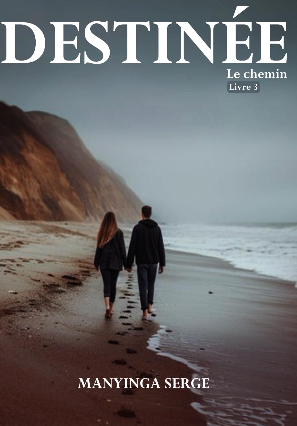 DESTINEE: le chemin (livre 3) (ASCENSION)