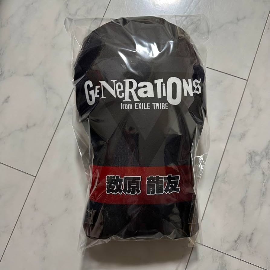 数原龍友 クッション