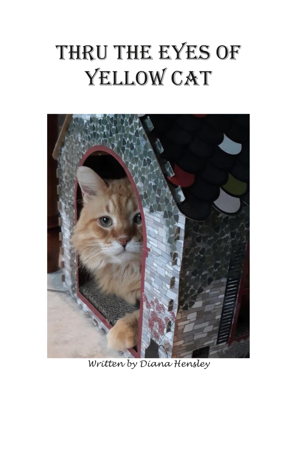 THRU THE EYES OF YELLOW CAT (Thru the Eyes of a Cat)