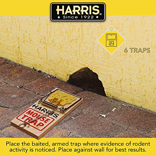 Harris Wooden Mouse Snap Traps (6-Pack) #TOP3